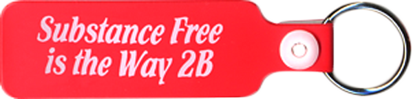 Vinyl Key Chain Substance Free
